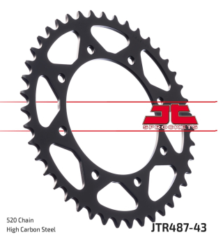 ARKA DİŞLİ JT JTR487-43